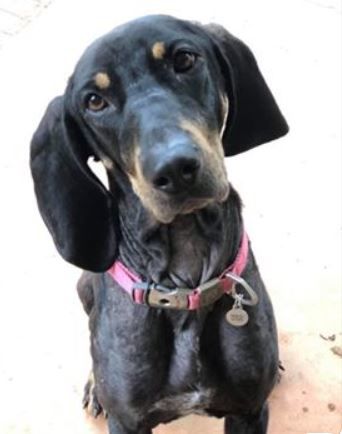 Bella